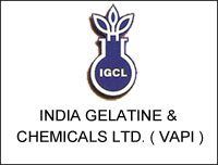 India Gelatine & Chemicals Ltd (Vapi)